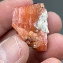 Serandite with Leifite - image 2