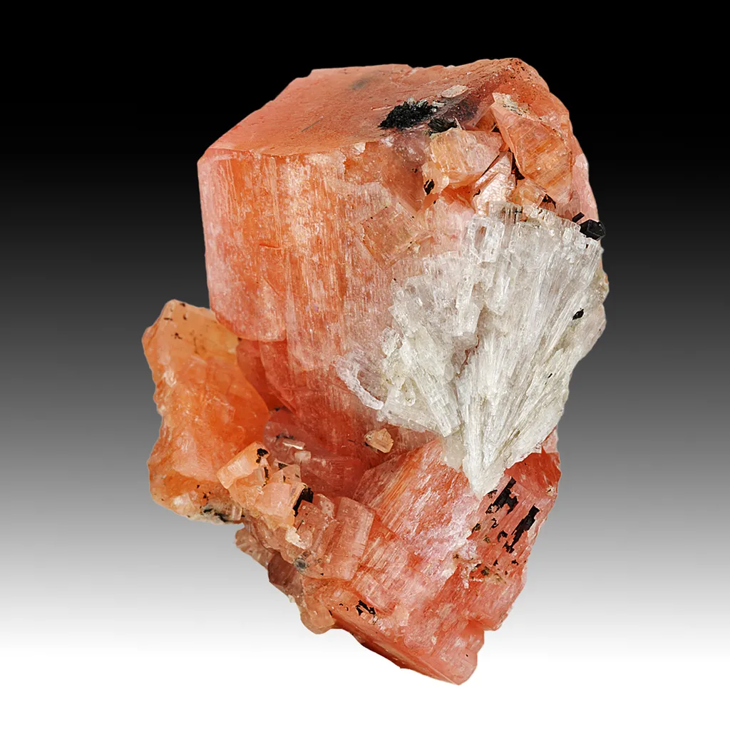 Serandite with Leifite image