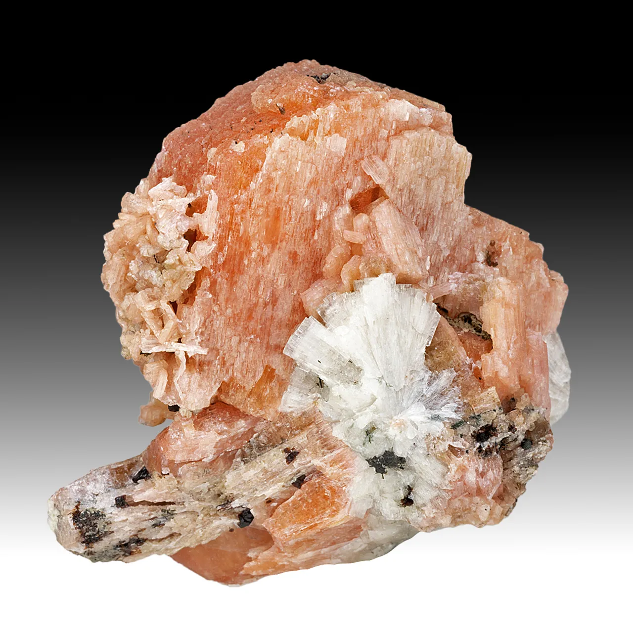 Serandite with Leifite - image 1