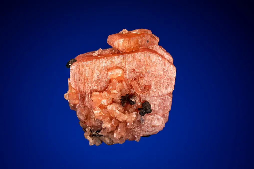 Serandite with Manganoneptunite? image