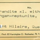 SÉRANDITE with Manganoneptunite - image 7