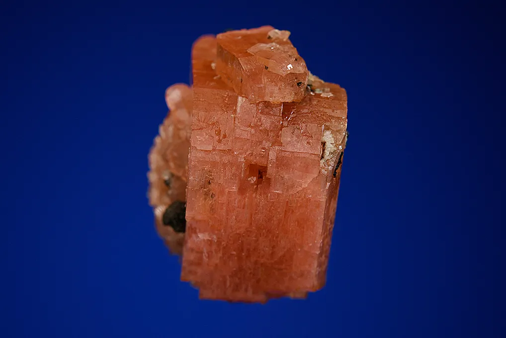 Serandite with Manganoneptunite? - image 3
