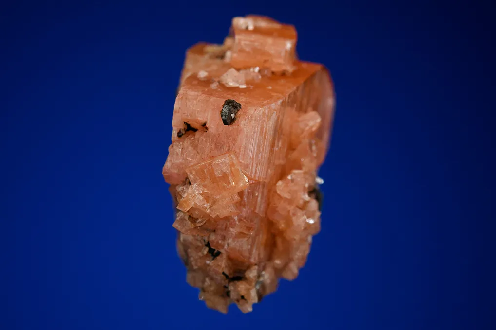 Serandite with Manganoneptunite? - image 4