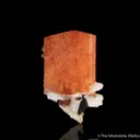 Serandite with Natrolite - image 1