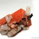 Serandite With Natrolite - image 1