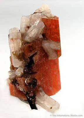 Serandite With Natrolite - image 2