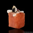 Serandite with Natrolite - image 2