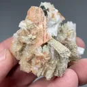Serandite with Polylithionite, Aegirine - image 2