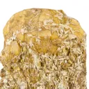 Serpentine after Olivine (Chrysolite) - image 5