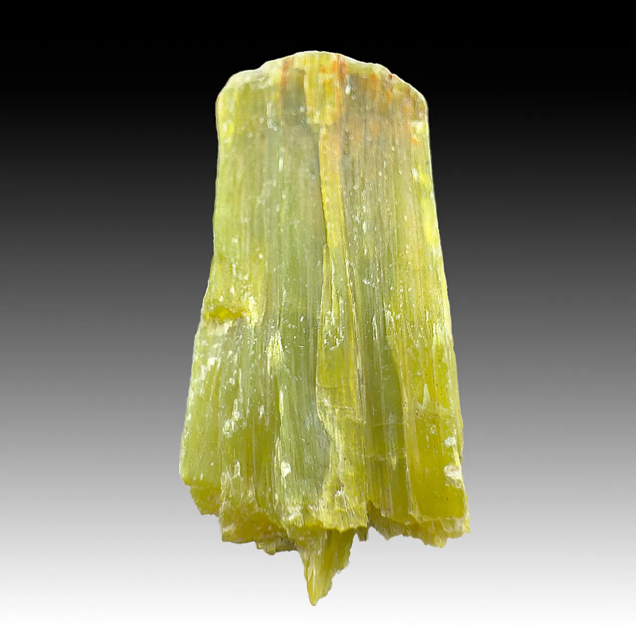 Serpentine group - image 1