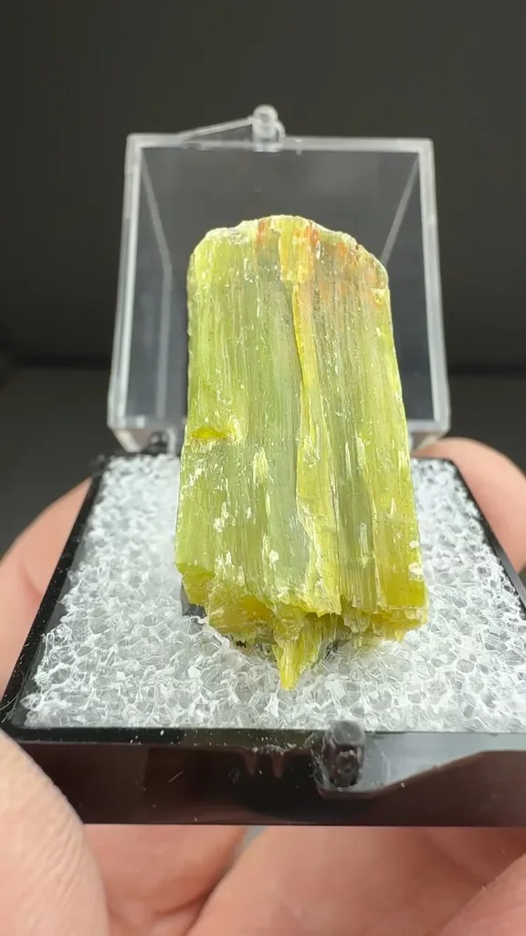 Serpentine group - image 2