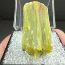 Serpentine group - image 2