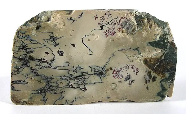 Serpentine Group image