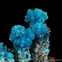 Serpierite and Gypsum - image 1