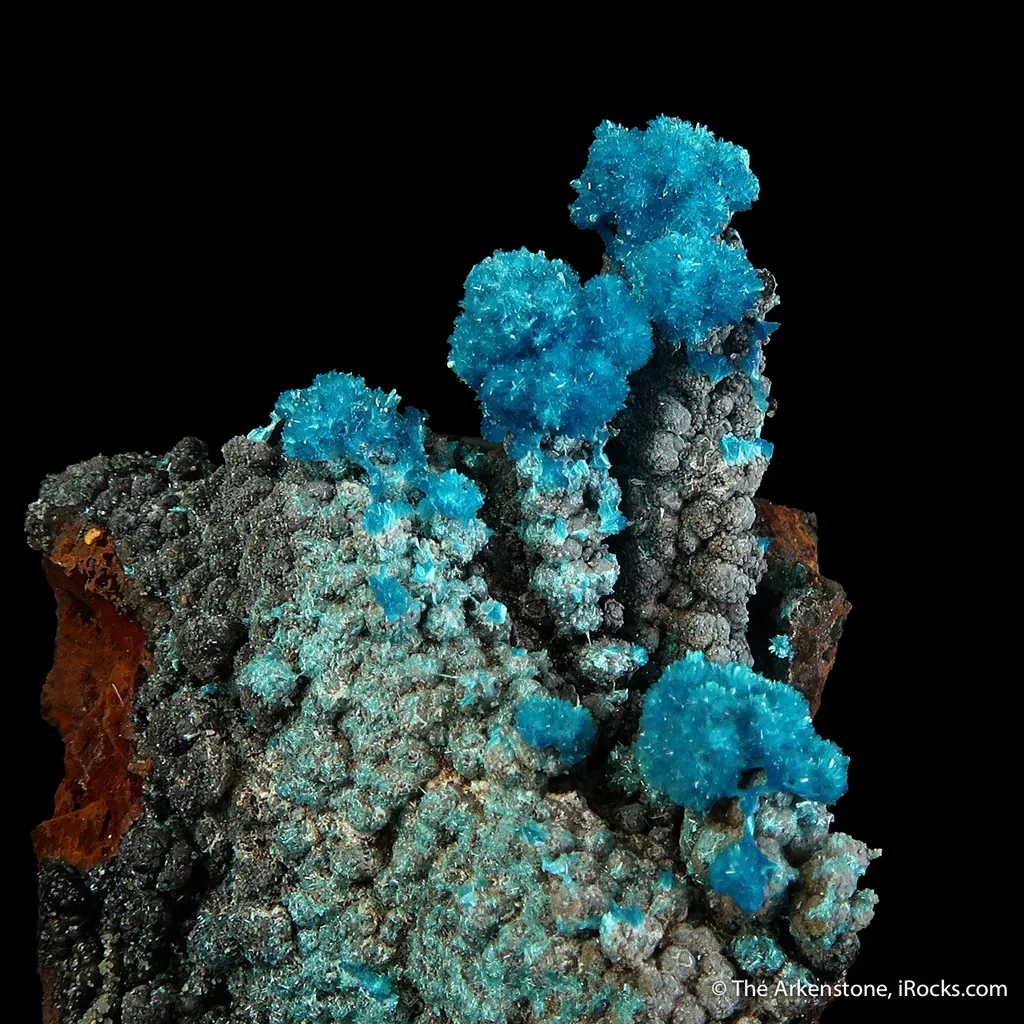 Serpierite and Gypsum - image 2