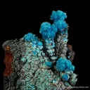 Serpierite and Gypsum - image 2