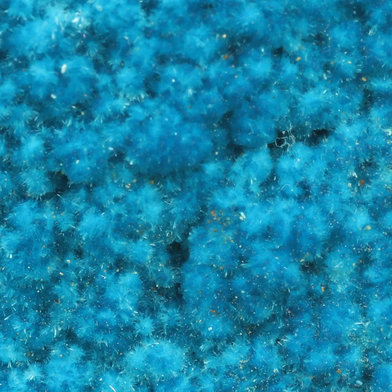 Serpierite from Greece, Attica, Kamariza Mines, Serpieri Mine - image 3