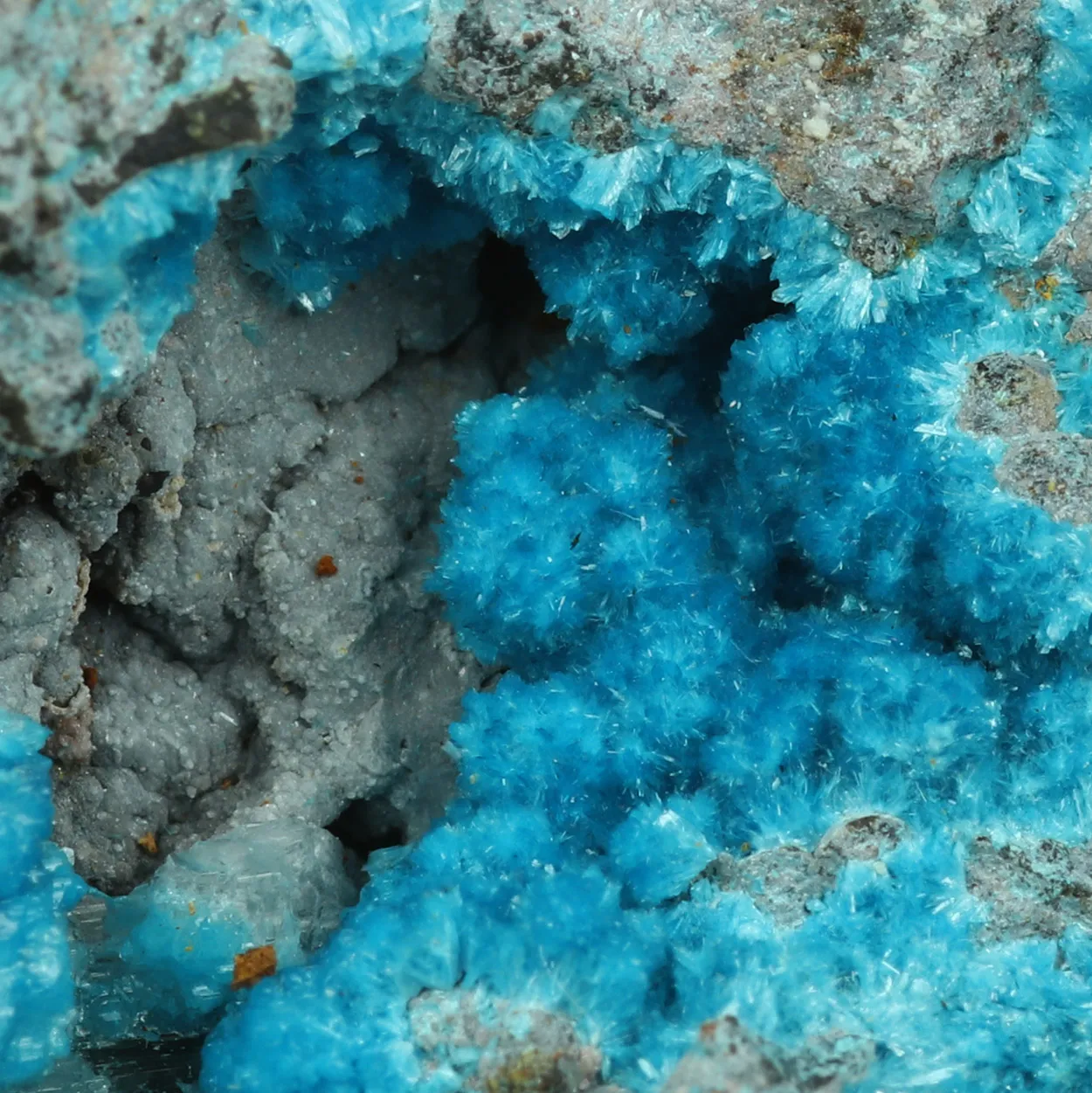 Serpierite from Greece, Attica, Kamariza Mines, Serpieri Mine - image 1