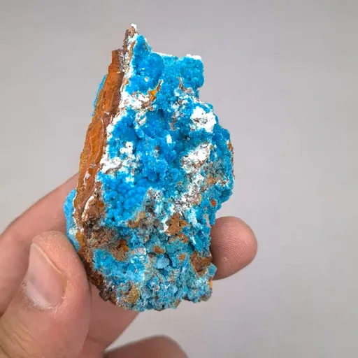 specimen video