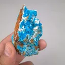 specimen video