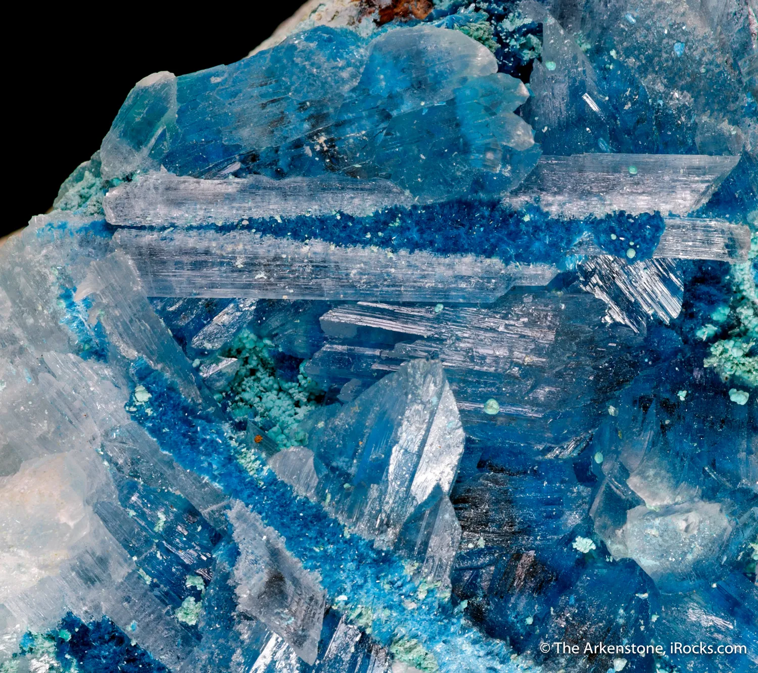 Serpierite & Serpierite inclusions in Gypsum - image 3