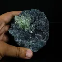 Sharp Terminated Green Apophyllite Cluster on Shimmering Dark Green Chalcedony Matrix – Natural Indian Zeolite Mineral Specimen from Jalgaon, Maharashtra - image 4