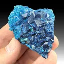 Shattuckite after Calcite - image 1