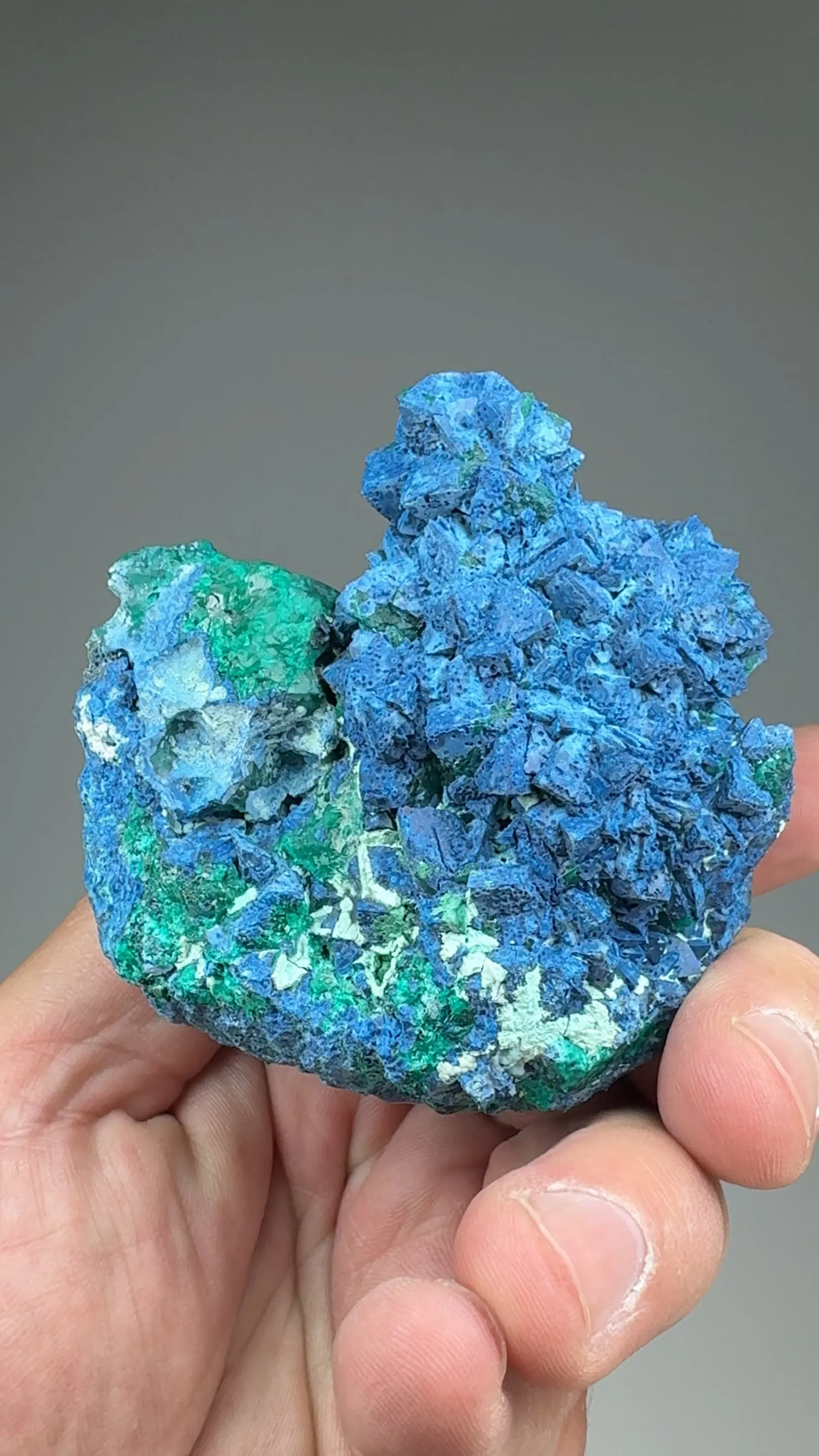 Shattuckite after Calcite with Dioptase - image 2
