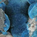 Shattuckite - image 2