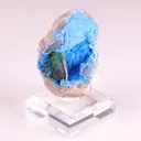 specimen video