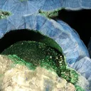 Shattuckite, Malachite - image 2