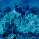 Shattuckite (polished) - image 2