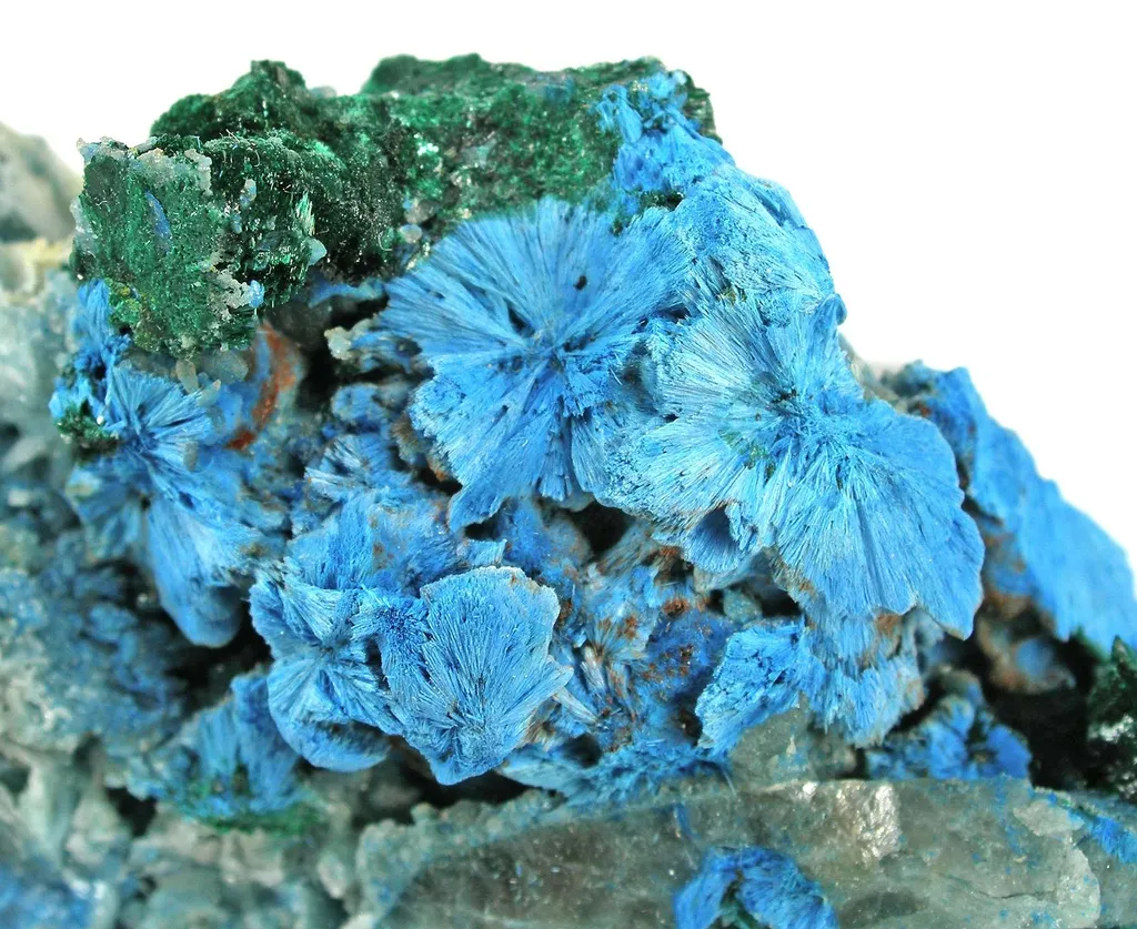 Shattuckite (Rare Crystals Ps. After Malachite) - image 3