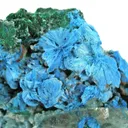 Shattuckite (Rare Crystals Ps. After Malachite) - image 3