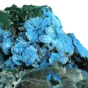 Shattuckite (Rare Crystals Ps. After Malachite) - image 2