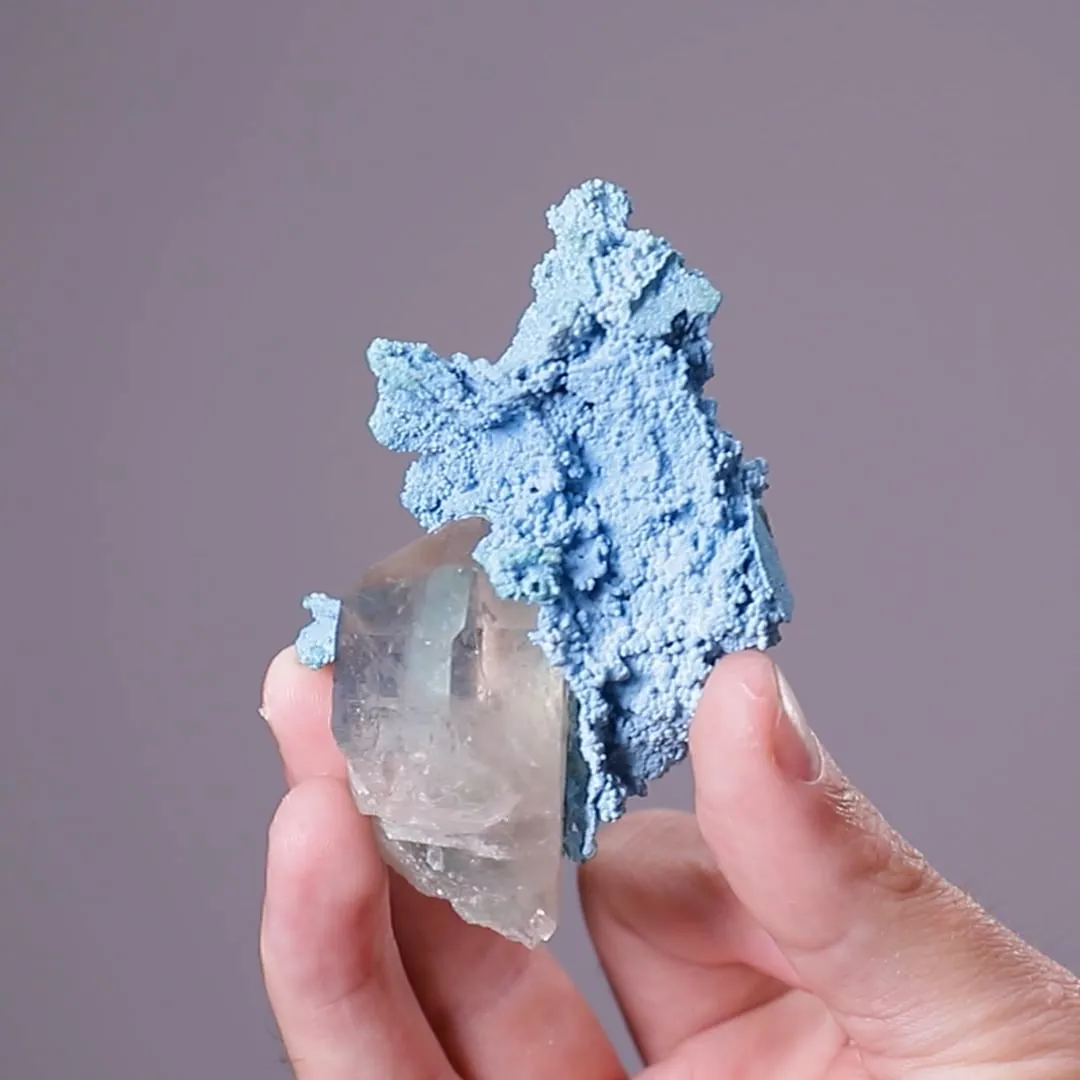 Shattuckite with Quartz - image 2
