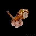 Shigaite on Rhodochrosite - image 2