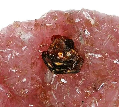 Shigaite, Rhodochrosite - image 2