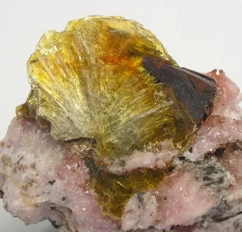 Shigaite, Rhodochrosite - image 2