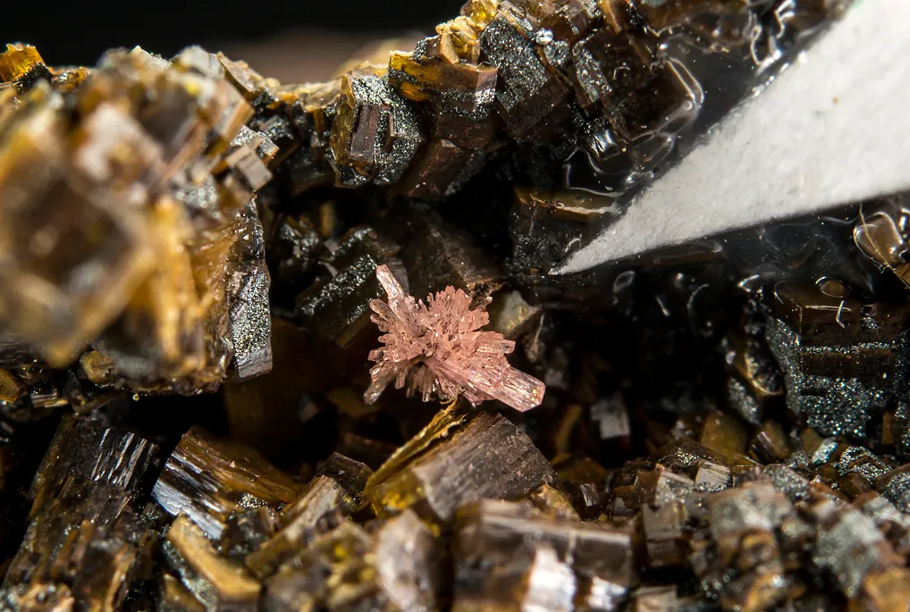 Shigaite with SEAMANITE image