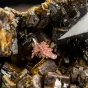 Shigaite with SEAMANITE - image 1