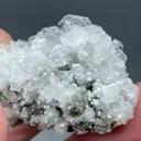 Shinichengite with Imayoshiite, Andradite - image 2