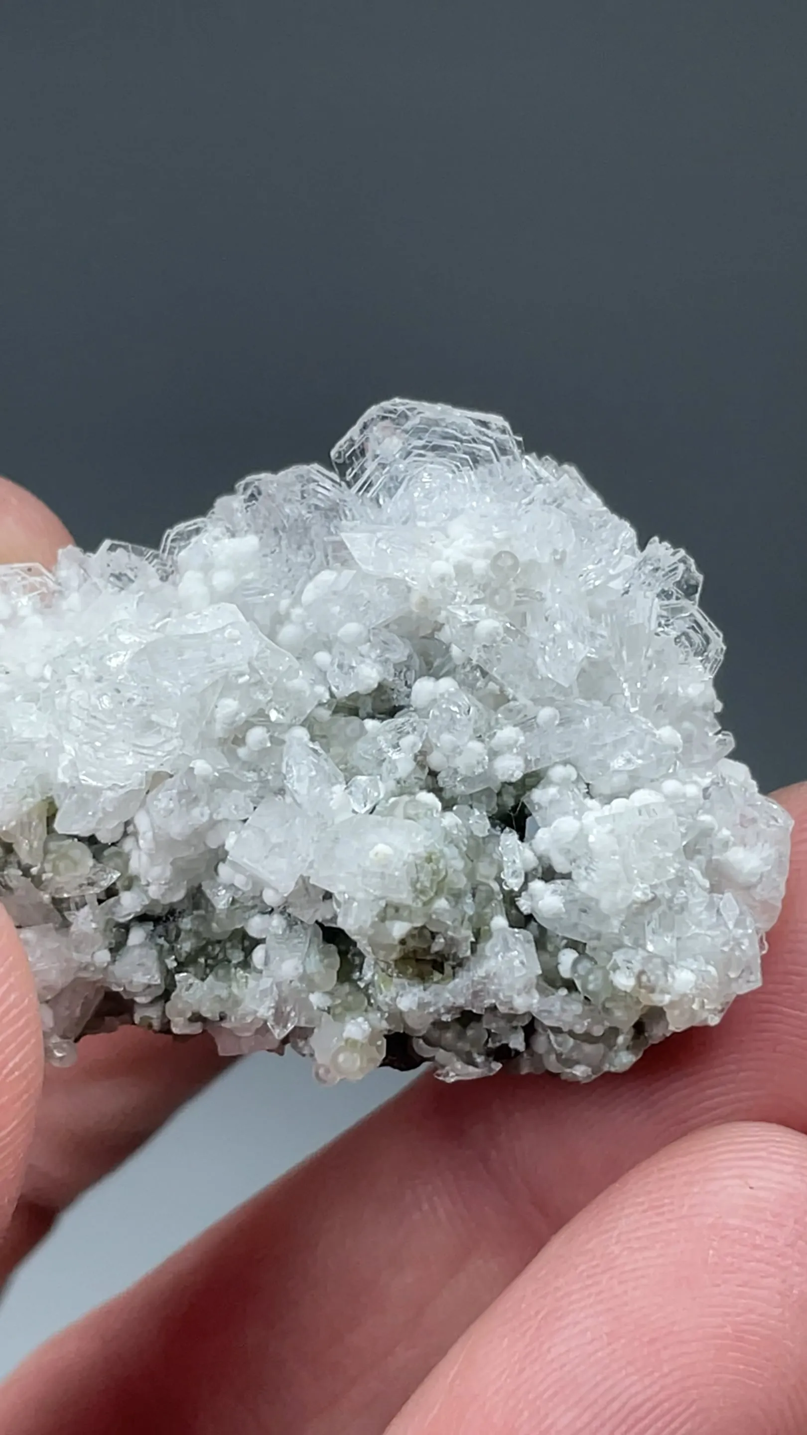 Shinichengite with Imayoshiite, Andradite - image 2