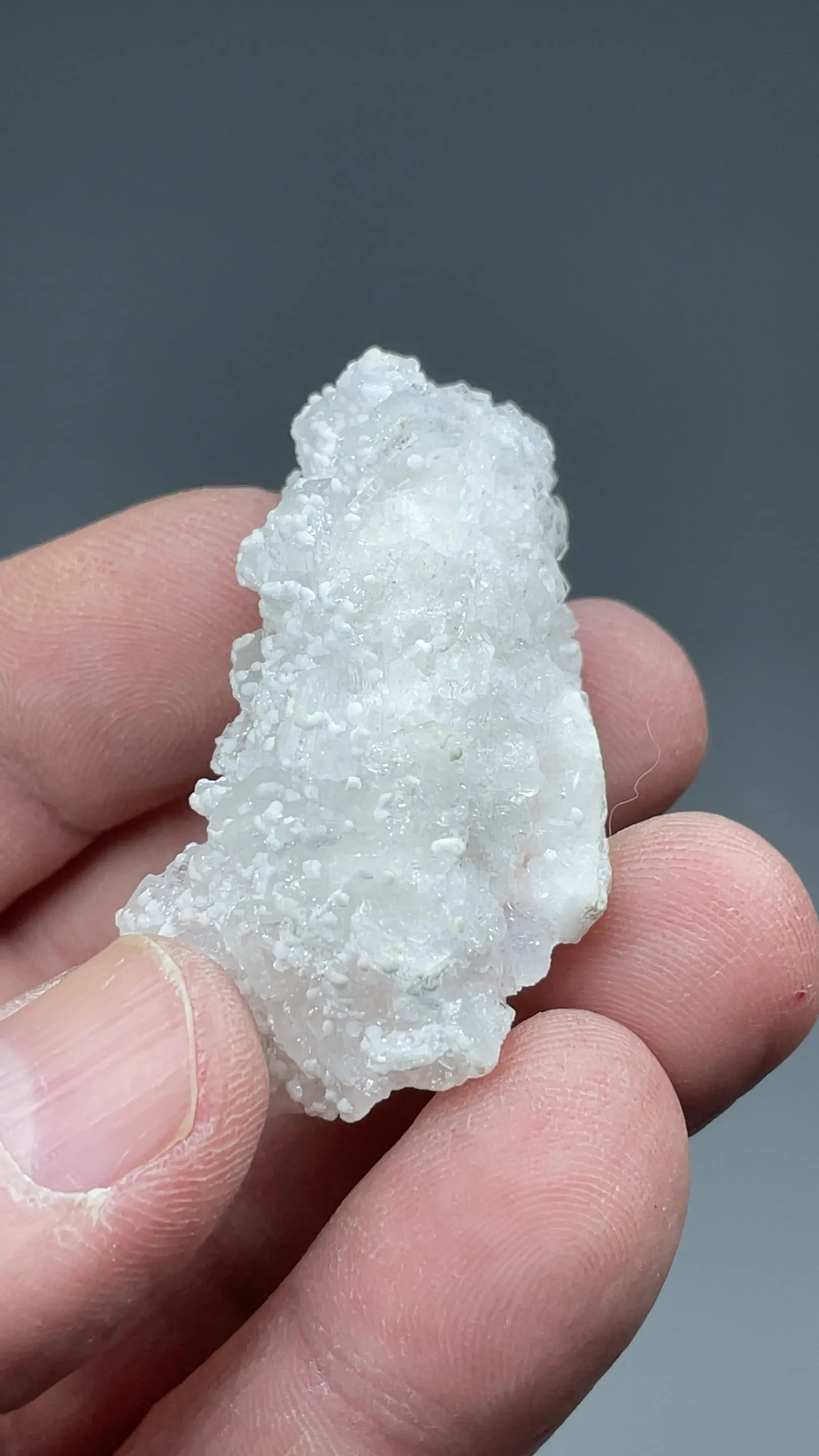 Shinichengite with Imayoshiite, Bultfonteinite, Andradite - image 2