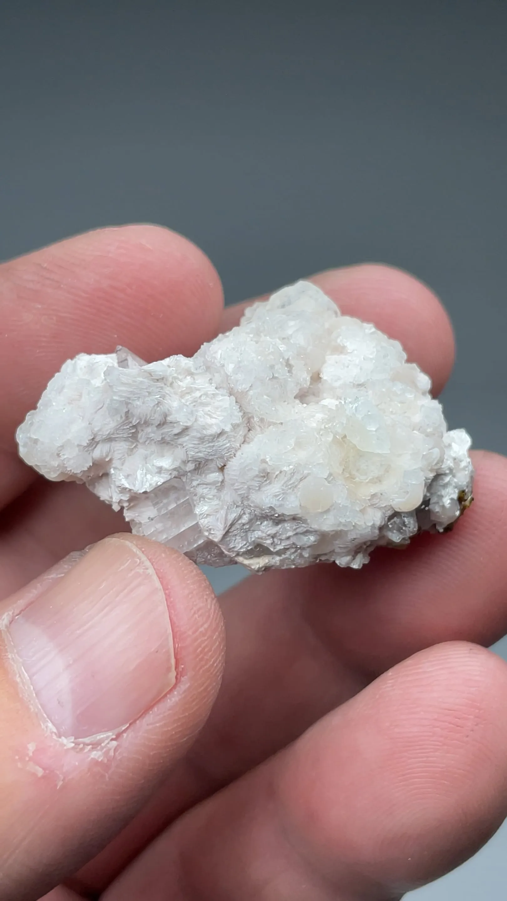 Shinichengite with Imayoshiite, Calcite, Andradite - image 2