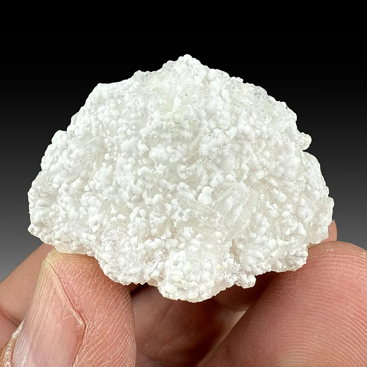 Shinichengite with Imayoshiite, Calcite - image 1