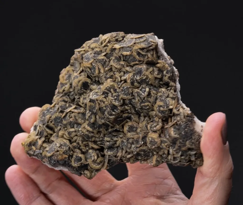 Siderite - image 2