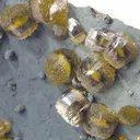 Siderite - image 2