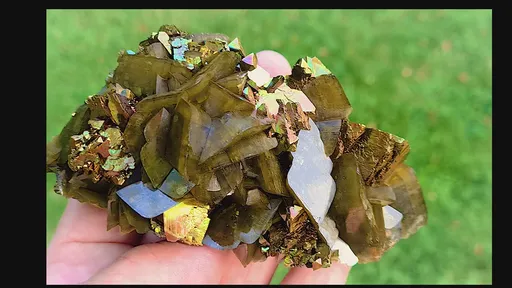 specimen video