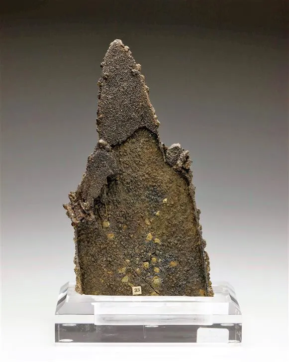 Siderite Epimorph Baryte Ladies Slipper image